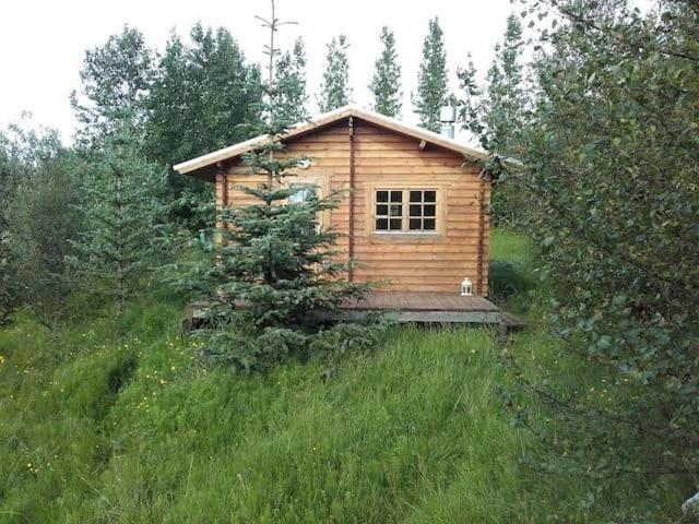 Arngrimslundur Log Cabin - Cabin 3 Fludir Exterior foto